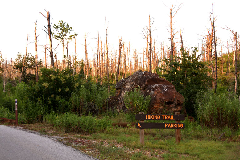 Entrance sign to Purple Trail Bastrop State Park