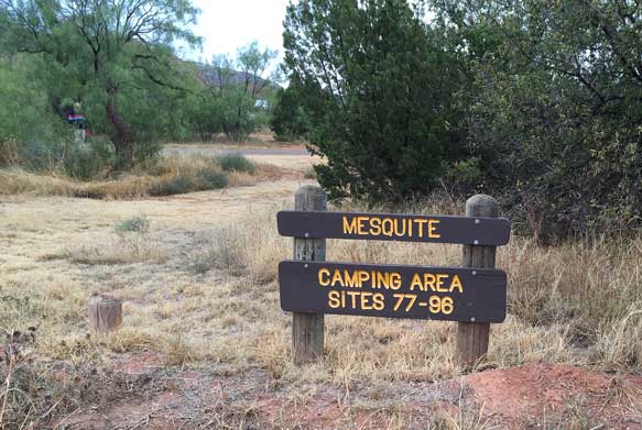 Mesquite Camping Area