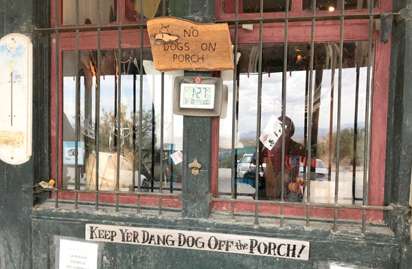 Terlingua-Dogs-off-porch