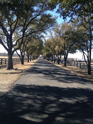 Driveway up to Southfork Ranch.