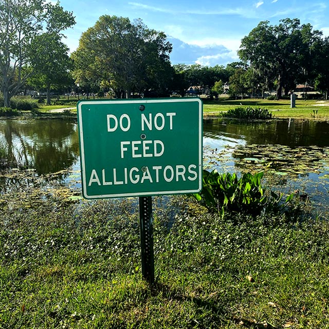 Do-not-feed-the-alligators