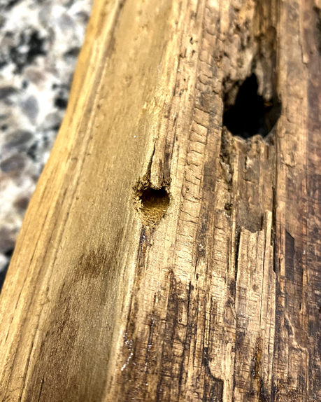 Father's Day Drilled Hole on Back